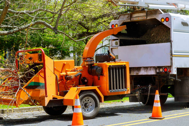 Best Commercial Tree Services  in Norwich, NY